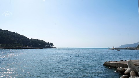 [뮤직비디오] 부산 마리나컨벤션