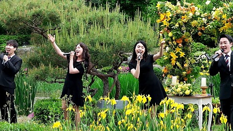 [야외 & 하우스 웨딩]
